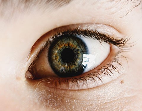 用眼過度的S世代，純露找回明亮