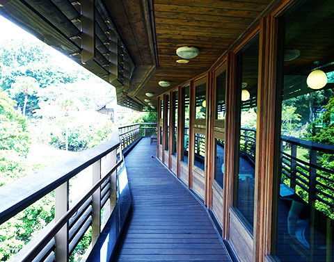 芬多精飛船揚帆－北投圖書館，沉澱身心之旅