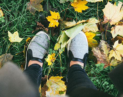 精油初學者的重要須知.答錯了!只能羞愧的低下頭呀.
