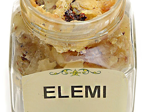 步步踏實的旅者-欖香脂