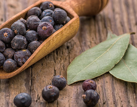 心疼孩子過敏嗎?用澳洲尤加利和檜木對抗塵螨吧 :杜松能促進體液的循環和減緩發炎,對於空氣的殺菌作用也很顯著