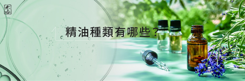 完整解析精油種類與功效AromaSchool禾場國際芳療學苑_提供完整專業的芳療精油知識養成